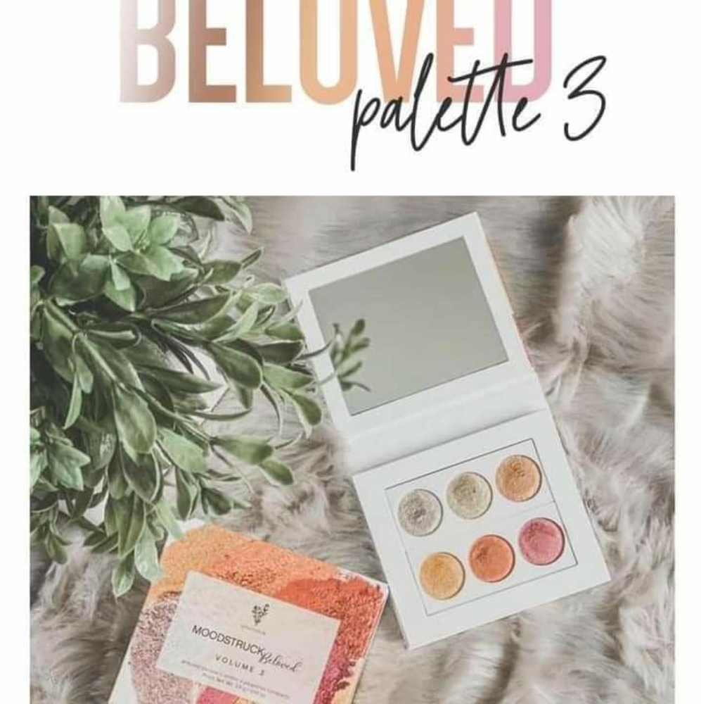 FINAL PRICE Younique Eye Palette #3